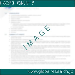 グローバルリサーチ調査レポートのイメージ